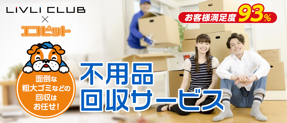 エコピット